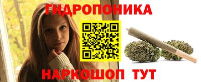 стаф Лесосибирск