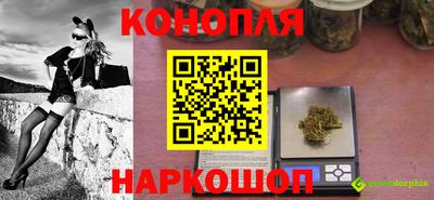 стаф Лесосибирск