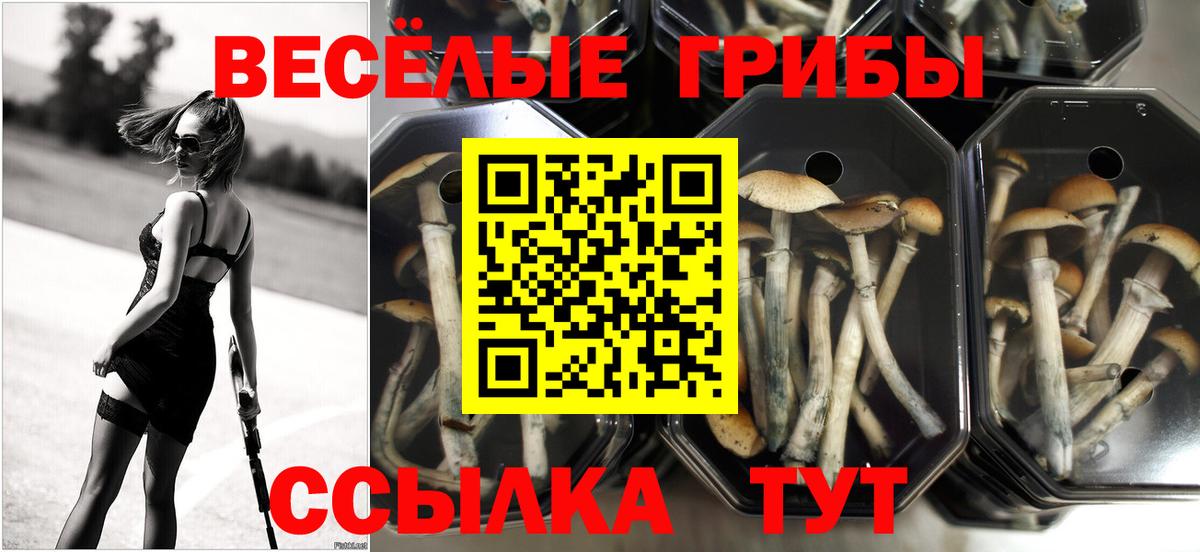 Галлюциногенные грибы Cubensis  хочу   Жигулёвск  Псилоцибиновые грибы Magic Shrooms  Вход с VPN 